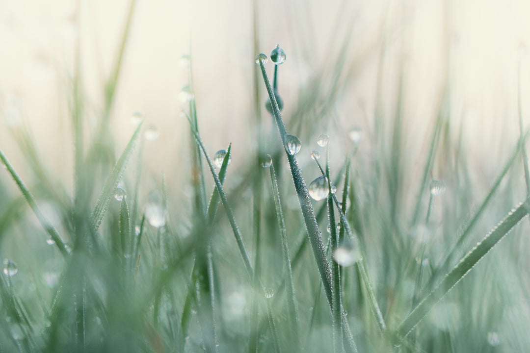 Metatron Emerald Dew - Pick Me Up/Spirit Lift