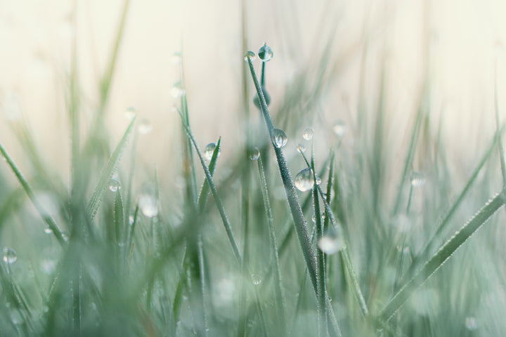Metatron Emerald Dew - Pick Me Up/Spirit Lift