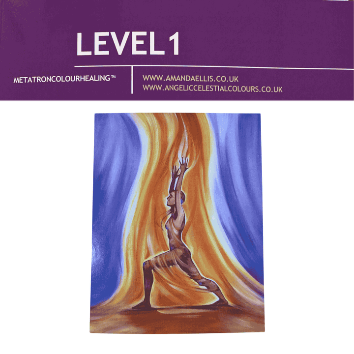 Level 1 Manual