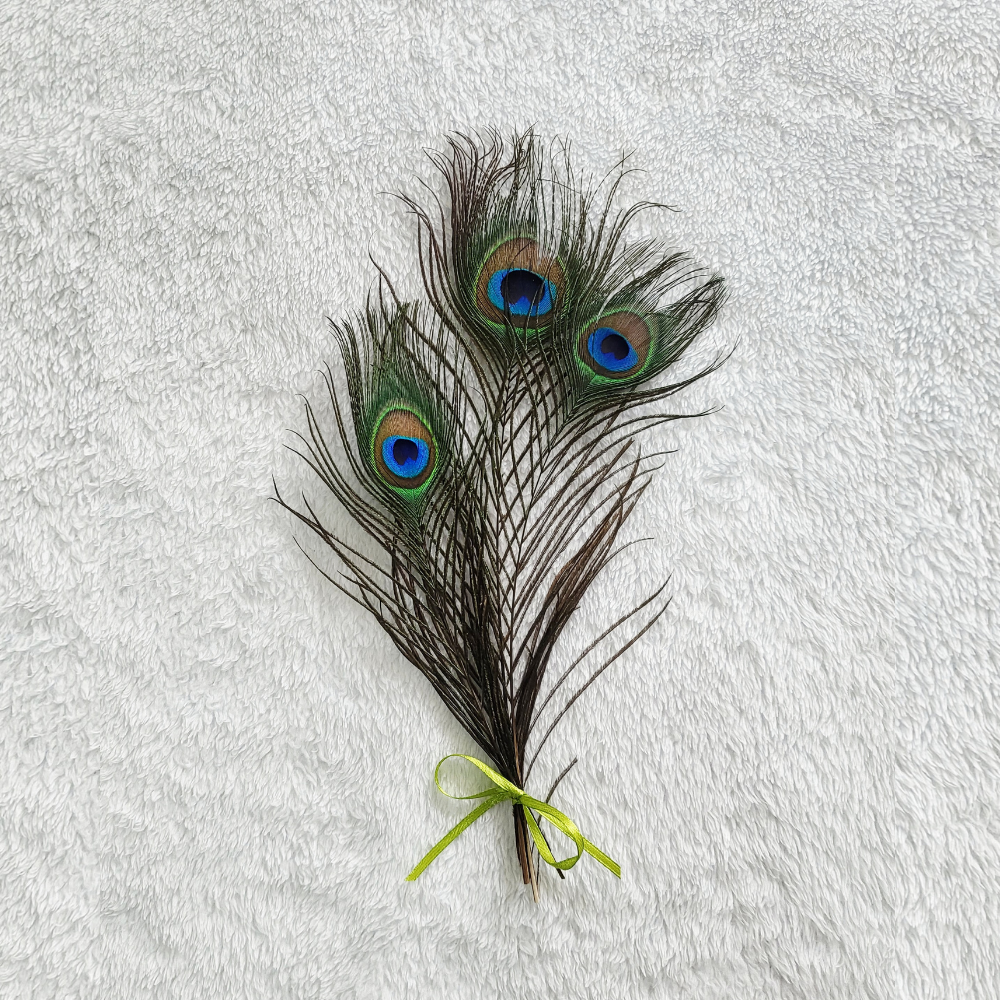 Peacock Feathers